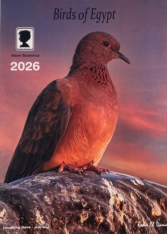 Birds Calendar 2026