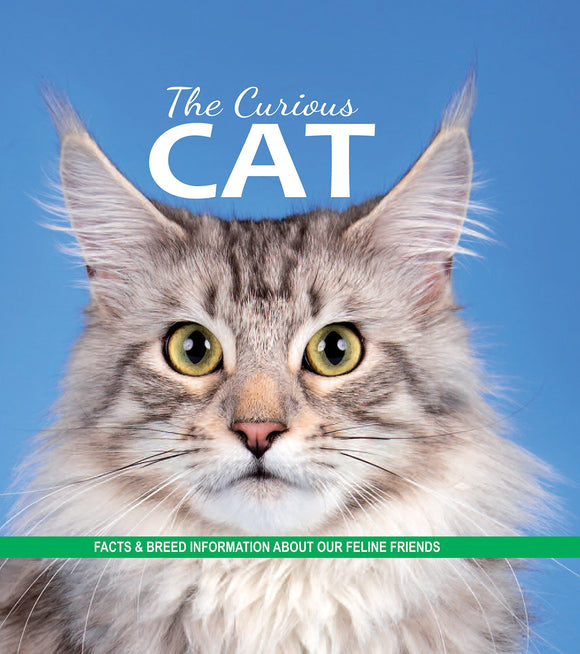 The Curious Cat: Facts and breed information on our feline friends