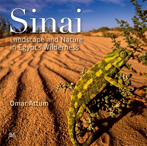 Sinai: Landscape and Nature in Egypt‚Äö√Ñ√∂‚àö‚Ä†‚àö‚àÇ‚Äö√†√∂‚àö√≤s Wilderness