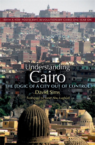 Understanding Cairo: The Logic of a City Out of Control