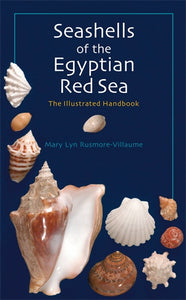 Seashells of the Egyptian Red Sea: The Illustrated Handbook