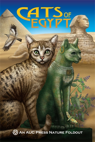 Cats of Egypt: An AUC Press Nature Foldout - Main Image